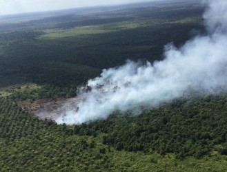  Karhutla Terus Meluas, Sudah 1.686 Hektare Lahan Terbakar di Riau